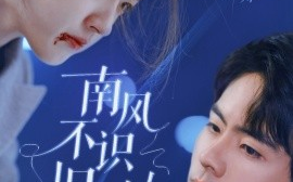 短剧《南风不识旧时人 (2025)》全集免费在线观看
