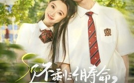 短剧《还剩三个月寿命，请让我从容赴死（71集）李昊＆薄雨童 (2025)》全集免费在线观看