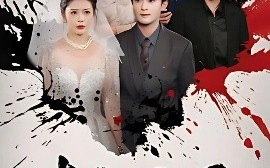 短剧《喜宴惊局（29集）孙梦涵 (2025)》全集免费在线观看