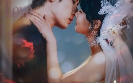 短剧《星河予你偏爱时（79集）林枫松＆陈羽翎 (2025)》全集免费在线观看