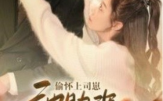 短剧《偷怀上司崽池助理每天都想辞职（74集全）》免费观看