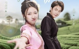 短剧《月下独占你的光（67集）白羽＆马敬媛 (2025)》全集免费在线观看
