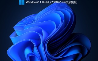 Windows11 Build 22000.65 64位预览版 V2021(官方专业版ISO)