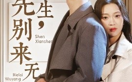 短剧《沈先生，别来无恙（60集）方正男＆陈辞 (2025)》全集免费在线观看