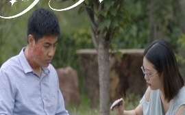 短剧《向爱出发（50集）(2025)》全集免费在线观看