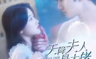 短剧《天降夫人是大佬（100集全）》免费观看