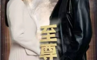 短剧《至尊公子（79集全）》免费观看