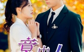 短剧《意中人 (2025)》全集免费在线观看