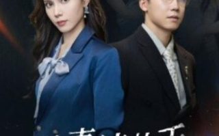 短剧《前妻请放手，我已经辞职了（1-30集）》全集免费在线观看