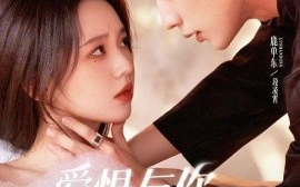 短剧《爱恨与你共赴东流（78集）李柯以&鹿单东 (2025)》全集免费在线观看 