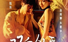 短剧《双向欲臣（60集）张翅＆岳雨婷 (2025)》全集免费在线观看