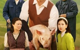 短剧《我教村民养猪仔（30集）贾紫倩 (2025)》全集免费在线观看