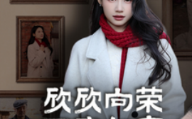 短剧《欣欣向荣万事如意 (2025)》全集免费在线观看