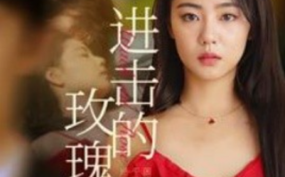 短剧《进击的玫瑰（82集全）》免费观看