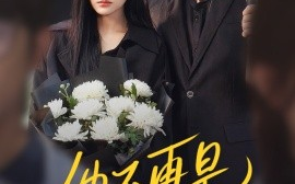 短剧《他不再是我的光（60集）何连飞&安晓洁 (2025)》全集免费在线观看