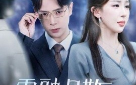 短剧《雪融月散终有时（33集）史宣洪&房蕾 (2025)》全集免费在线观看 