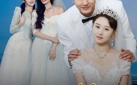 短剧《逆风归航（55集）(2025)》全集免费在线观看