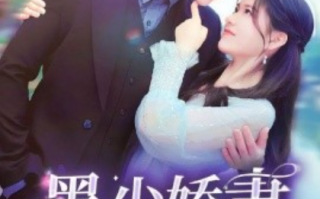 短剧《墨少娇妻轻轻宠（98集全）》免费观看