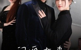 短剧《闪婚老婆，竟是国画女王（65集）葛子杨&温明妍 (2025)》全集免费在线观看