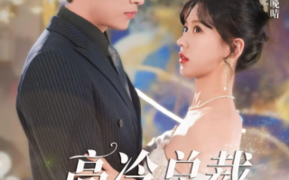短剧《高冷总裁的追妻攻略（65集全）》免费观看