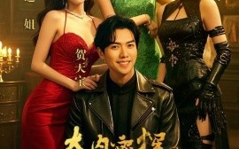 短剧《大内密探零零玖（40集）王美琳 (2025)》全集免费在线观看
