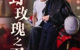 短剧《野玫瑰之刃 (2024)》全集免费在线观看