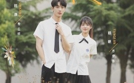 短剧《栀子花落状元红（50集）时康&杨帆 (2025)》全集免费在线观看 