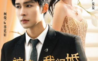 短剧《被渣后我闪婚了豪门继承人（96集全）》免费观看