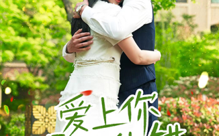 短剧《爱上你是我的错（79集全）》免费观看