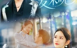 短剧《月入星河爱未晚（65集）张层层&周冰冰 (2025)》全集免费在线观看