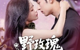 短剧《野玫瑰风情撩人（85集）张屹杨&陈思澈 (2025)》全集免费在线观看