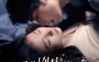 短剧《桑总别虐了，夫人她要嫁人了（100集全）》免费观看