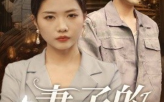 短剧《妻子的伪装（30集全）》免费观看