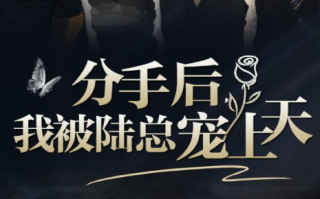 短剧《分手后，我被陆总宠上天（76集全）》免费观看