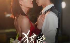 短剧《猎爱计划（66集）董一&刘贾玺 (2025)》全集免费在线观看