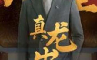 短剧《九重真龙出（98集全）》免费观看