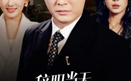 短剧《辞职当天，前妻哭着求我原谅 (2025)》全集免费在线观看