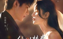 短剧《他以焚春吻长夏（61集）赵振栋＆蔡卓宜 (2025)》全集免费在线观看 