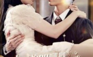 短剧《小可怜哭唧唧肚里崽崽找爸比（100集全）》免费观看