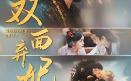 短剧《双面弃妃（80集）储子竣＆陈沐琳 (2025)》全集免费在线观看 
