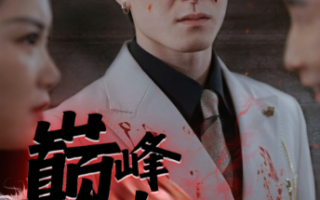 短剧《巅峰奶爸的寻妻路（87集全）》免费观看