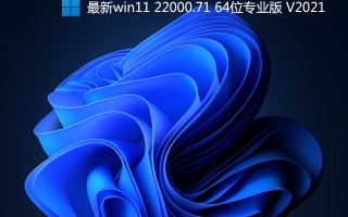 最新win11 22000.71 64位专业版 V2021(原版ISO镜像)