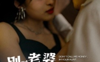 短剧《别叫我老婆，我是你舅妈（100集全）》免费观看