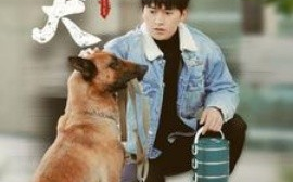 短剧《忠犬 (2025)》全集免费在线观看