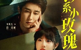 短剧《钓系小玫瑰（82集）林枫松&田甜一 (2025)》全集免费在线观看 