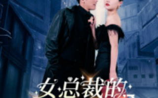 短剧《女总裁的特工男友（83集全）李家圆子》免费观看