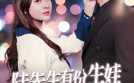 短剧《陆先生有份生娃订单请签收（70集）李永臻&宋雯娟 (2025)》全集免费在线观看