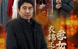 短剧《衣锦还乡之孝女拜寿 (2025)》全集免费在线观看