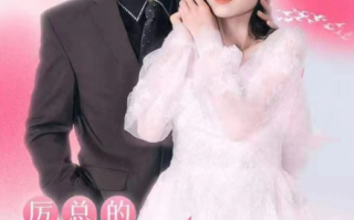 短剧《厉总的落跑娇妻不好追(72集全)》免费观看