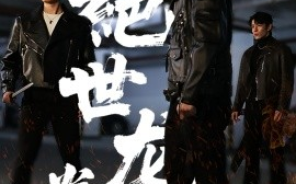 短剧《绝世龙拳（32集）刘一龙＆黄佳怡 (2025)》全集免费在线观看